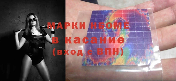 шишки Бородино
