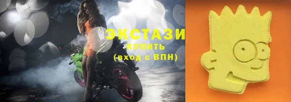 шишки Бородино