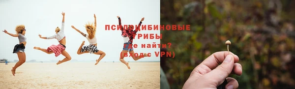 шишки Бородино
