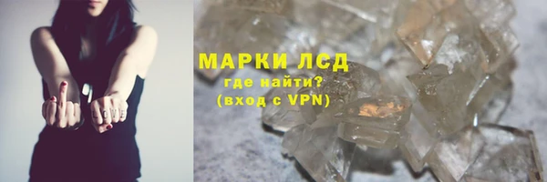 шишки Бородино