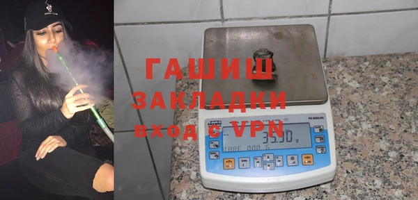 шишки Бородино