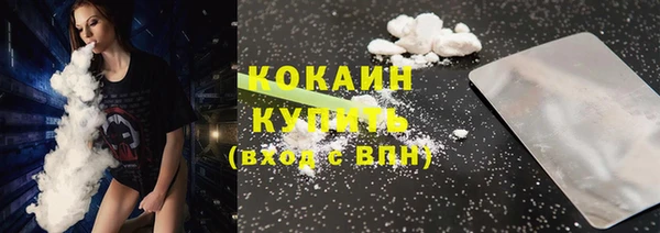 шишки Бородино