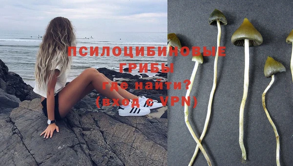 шишки Бородино