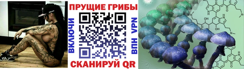 цены наркотик  Демидов  Галлюциногенные грибы GOLDEN TEACHER 